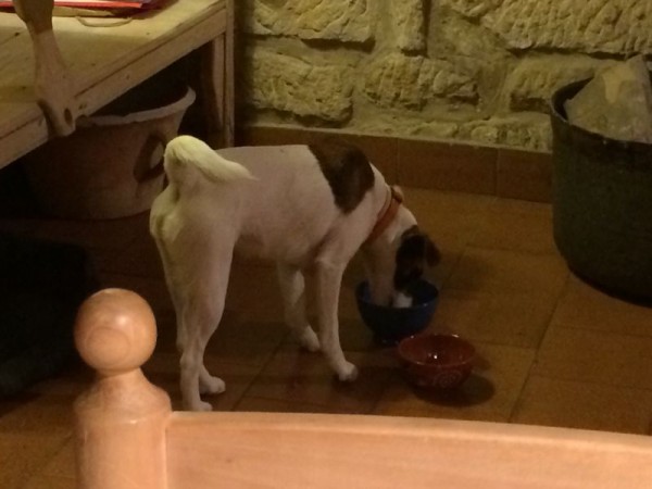 Remelluri 18.09.14_18