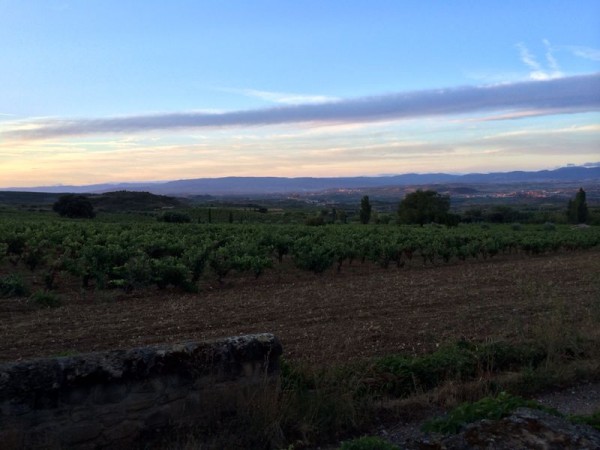 Remelluri 18.09.14_21