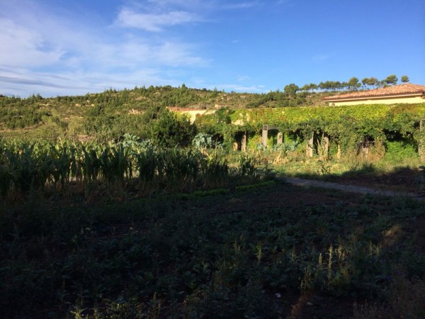 Remelluri 18.09.14_24