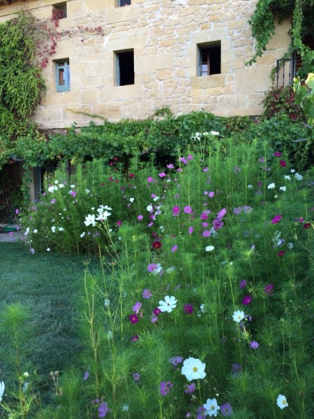 Remelluri 18.09.14_25