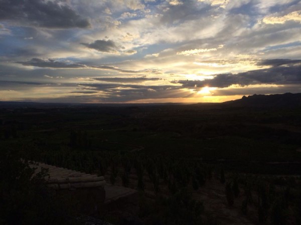 Remelluri 18.09.14_7