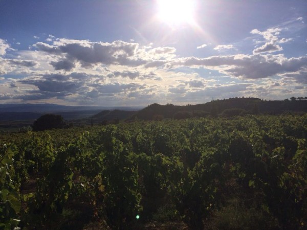 Remelluri 18.09.14_8